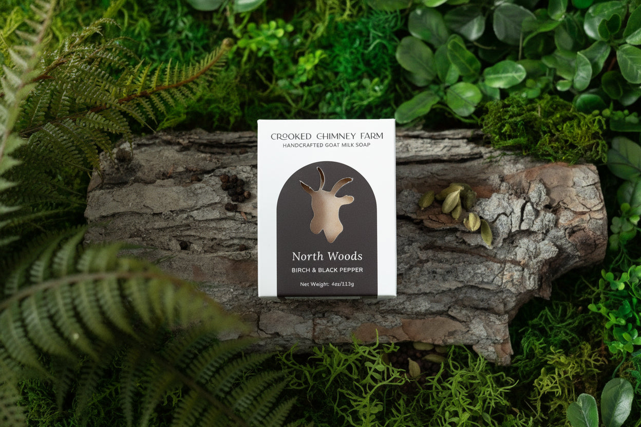 north woods soap packaging with forest in background
