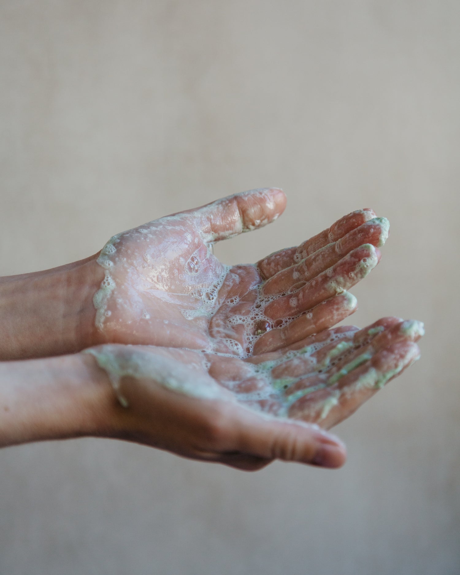 Two palms with sudsy tobacco and bay leaf sugar whipped soap on them